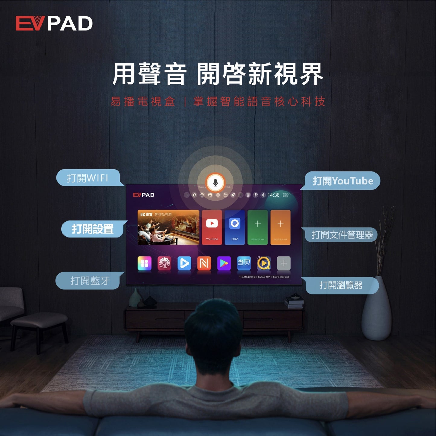 EVPAD 10S Android テレビボックス - EVPAD 10S 2024年版