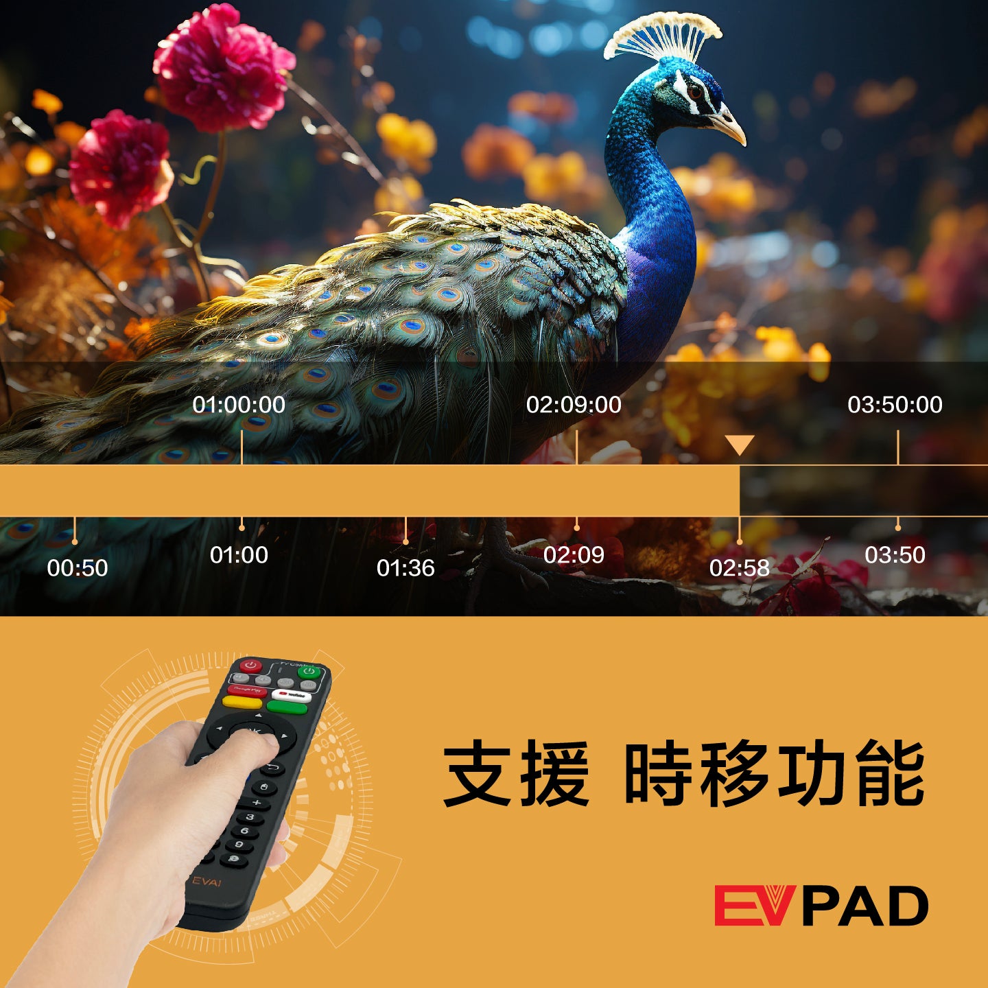 EVPAD 11P Android テレビボックス - EVPAD 11P 2025年版