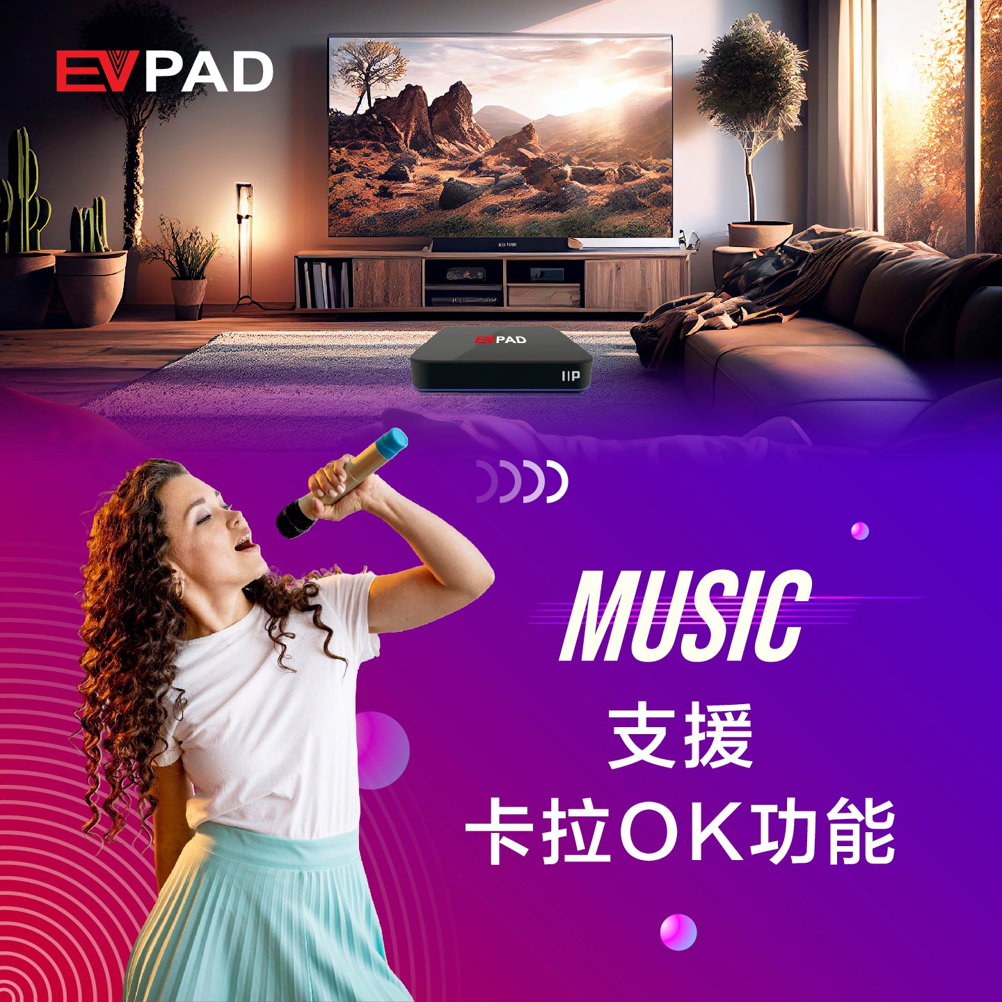 EVPAD 11P Android テレビボックス - EVPAD 11P 2025年版